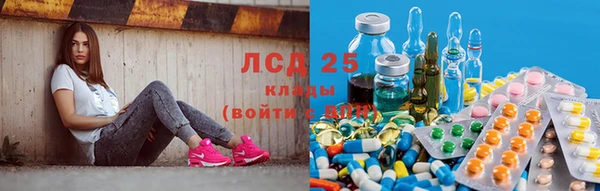 гидра Горнозаводск