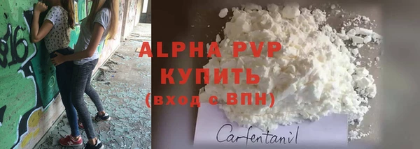 гидра Горнозаводск