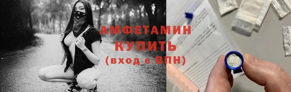 гидра Горнозаводск