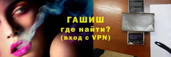 гидра Горнозаводск