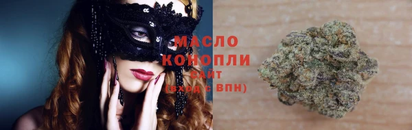 шишки Горняк