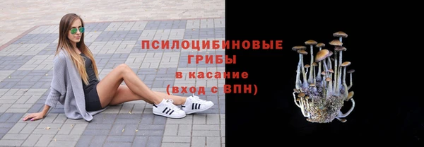 mix Вязьма