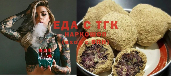 гидра Горнозаводск