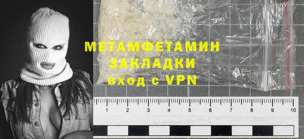 шишки Горняк