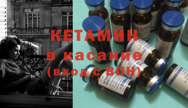 шишки Горняк