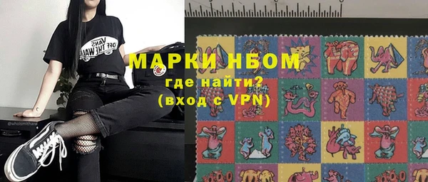 шишки Горняк
