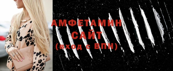 шишки Горняк