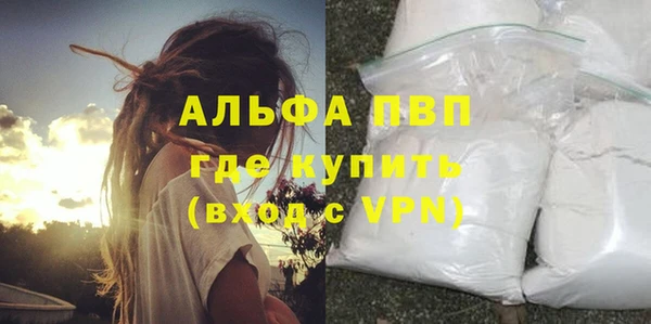 шишки Горняк